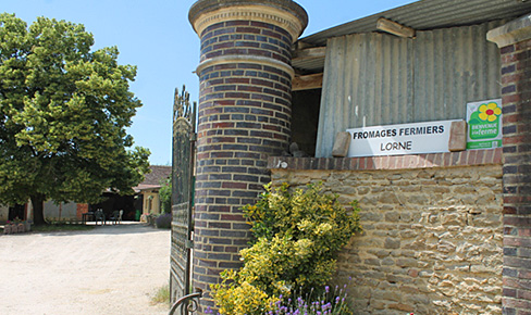 Boutique Lorne